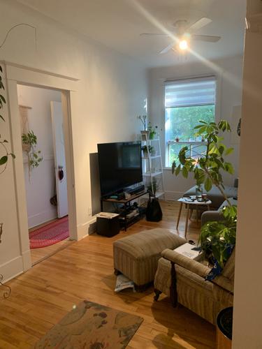 2 bedrooms apartment for rent in Montreal - Rosemont–La Petite-Patrie — photo 5