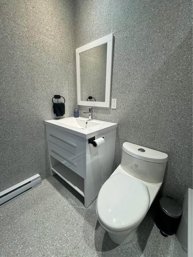 Appartement de 1 chambre à louer à Montreal - Le Plateau-Mont-Royal — photo 4