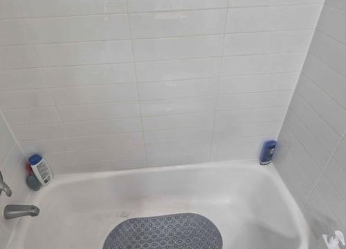 Appartement de 1 chambre à louer à Montreal - Le Plateau-Mont-Royal — photo 8