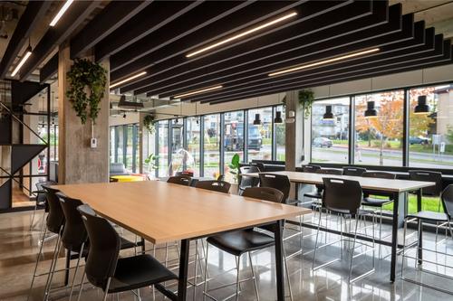 Appartement de 2 chambres à louer à Québec - Sainte-Foy–Sillery–Cap-Rouge — photo 16