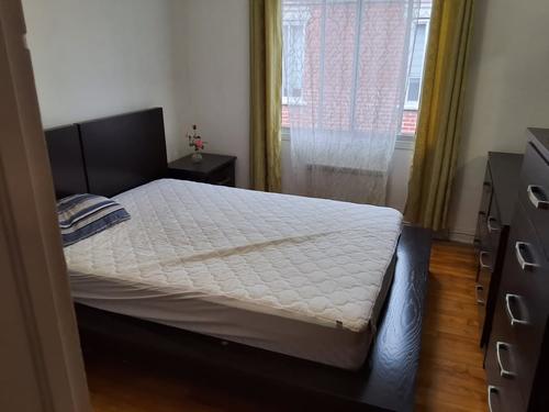 2 bedrooms apartment for rent in Montreal - Ville-Marie — photo 9