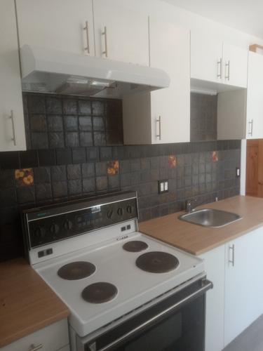 2 bedrooms apartment for rent in Montreal - Le Plateau-Mont-Royal — photo 5