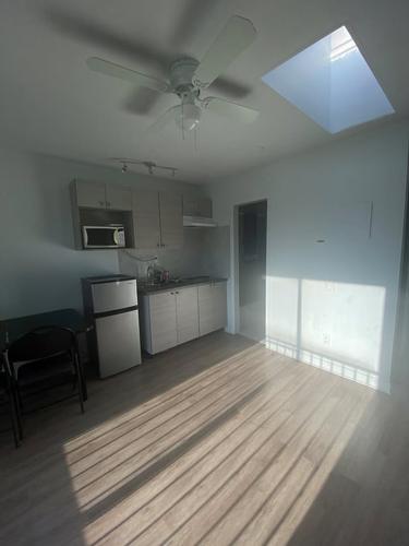 1 bedroom apartment for rent in Montreal - Rosemont–La Petite-Patrie — photo 7