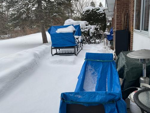 Appartement de 1 chambre à louer à Saint-Lambert (Montérégie) — photo 9