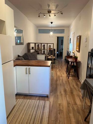 1 bedroom apartment for rent in Montreal - Le Plateau-Mont-Royal — photo 6
