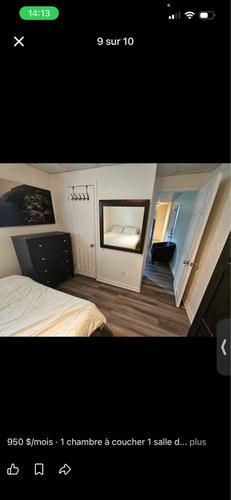 Studio à louer à Québec - Sainte-Foy–Sillery–Cap-Rouge — photo 2