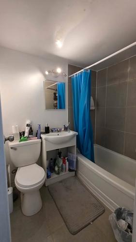 Studio for rent in Montreal - Le Plateau-Mont-Royal — photo 5