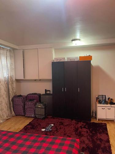 1 bedroom apartment for rent in Montreal - Rosemont–La Petite-Patrie — photo 3