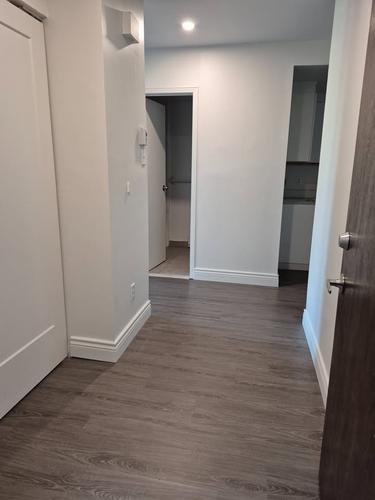 Appartement de 2 chambres à louer à Montreal - Le Plateau-Mont-Royal — photo 12