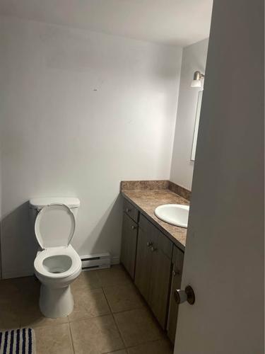 Appartement de 1 chambre à louer à Québec - La Cité-Limoilou — photo 3