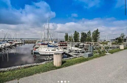 1 bedroom apartment for rent in Gatineau — photo 12