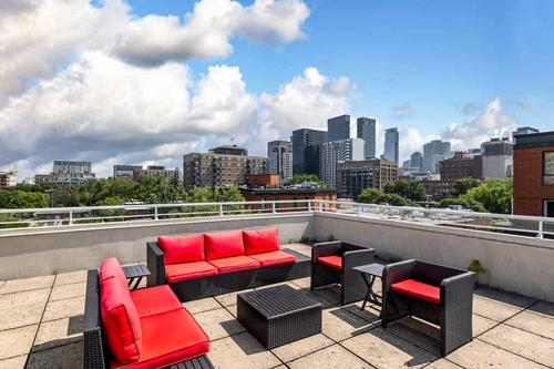 2 bedrooms apartment for rent in Montreal - Le Plateau-Mont-Royal — photo 7