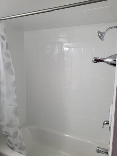 1 bedroom apartment for rent in Gatineau — photo 8