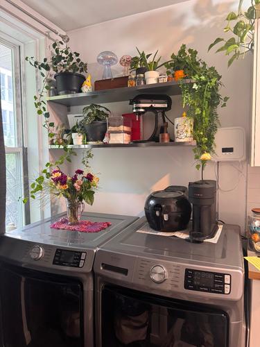 1 bedroom apartment for rent in Montreal - Le Plateau-Mont-Royal — photo 8