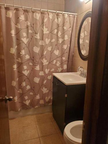 Appartement de 2 chambres à louer à Montreal - Rosemont–La Petite-Patrie — photo 2
