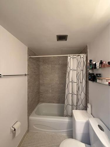 Appartement de 1 chambre à louer à Montreal - Le Plateau-Mont-Royal — photo 7