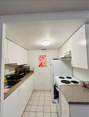 Studio à louer à Montreal - Le Plateau-Mont-Royal — photo 3