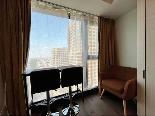 1 bedroom apartment for rent in Montreal - Ville-Marie — photo 13