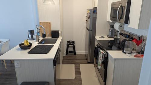 Appartement de 1 chambre à louer à Montreal - Rosemont–La Petite-Patrie — photo 3