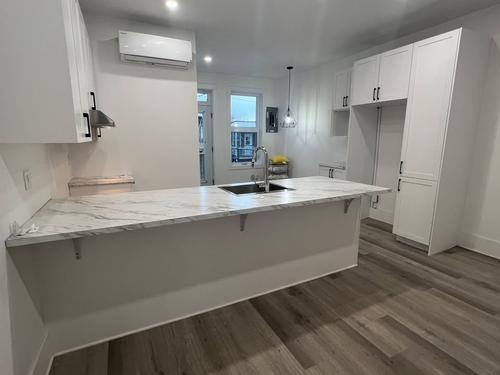4 bedrooms apartment for rent in Montreal - Le Plateau-Mont-Royal — photo 5