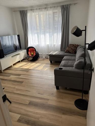 Appartement de 2 chambres à louer à Québec - La Cité-Limoilou — photo 5