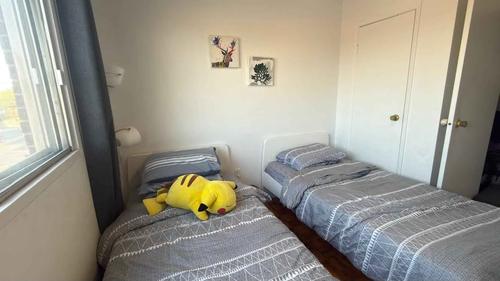 Appartement de 2 chambres à louer à Laval — photo 3