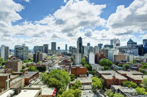 Appartement de 1 chambre à louer à Montreal - Le Plateau-Mont-Royal — photo 20