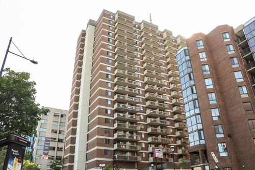 Studio for rent in Montreal - Le Plateau-Mont-Royal — photo 8