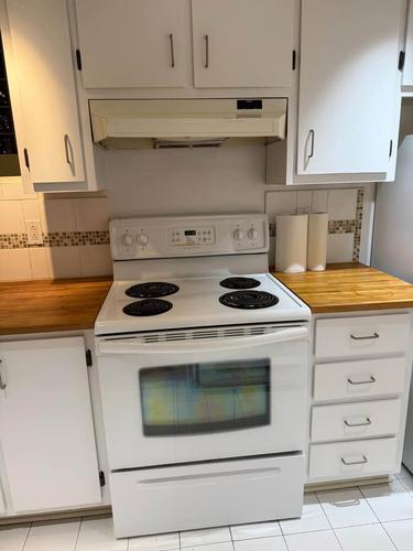 2 bedrooms apartment for rent in Montreal - Le Plateau-Mont-Royal — photo 4