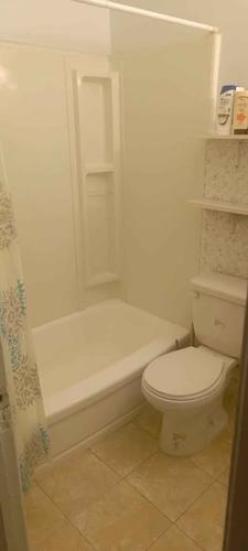 1 bedroom apartment for rent in Montreal - Ville-Marie — photo 4