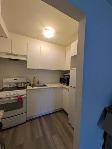 Appartement de 1 chambre à louer à Longueuil — photo 4