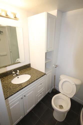 1 bedroom apartment for rent in Gatineau — photo 5