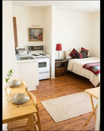 Studio for rent in Montreal - Le Plateau-Mont-Royal — photo 15