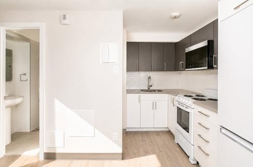 1 bedroom apartment for rent in Montreal - Le Plateau-Mont-Royal — photo 7