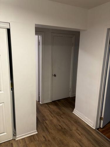 Appartement de 2 chambres à louer à Montreal - Rosemont–La Petite-Patrie — photo 15