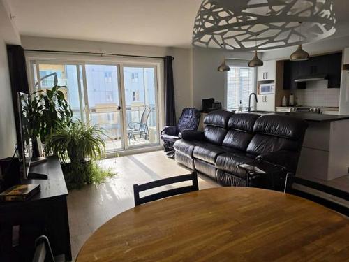 1 bedroom apartment for rent in Lévis — photo 3