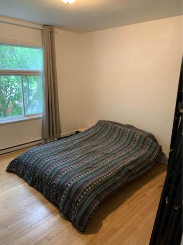 2 bedrooms apartment for rent in Québec - Sainte-Foy–Sillery–Cap-Rouge — photo 10