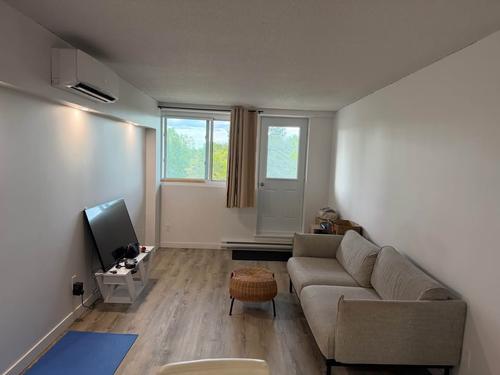 Appartement de 1 chambre à louer à Gatineau — photo 6