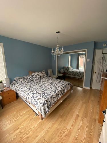 Appartement de 2 chambres à louer à Montreal - Rosemont–La Petite-Patrie — photo 2