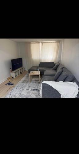 Appartement de 1 chambre à louer à Montréal — photo 6