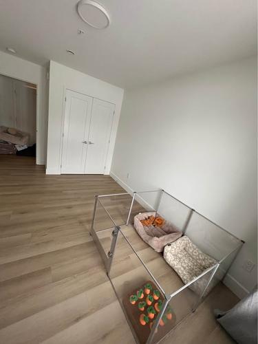 Appartement de 2 chambres à louer à Lévis — photo 12