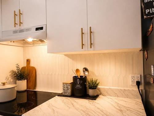 2 bedrooms apartment for rent in Montreal - Le Plateau-Mont-Royal — photo 11