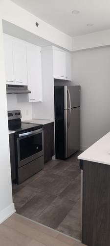 Appartement de 2 chambres à louer à Montreal - Rosemont–La Petite-Patrie — photo 8