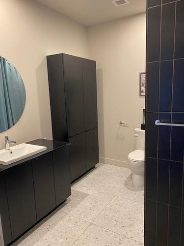 Appartement de 2 chambres à louer à Québec - Sainte-Foy–Sillery–Cap-Rouge — photo 5