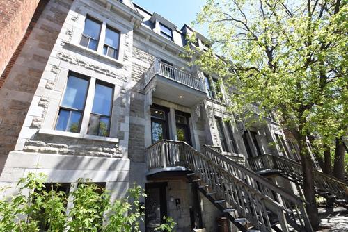 4 bedrooms apartment for rent in Montreal - Le Plateau-Mont-Royal — photo 19