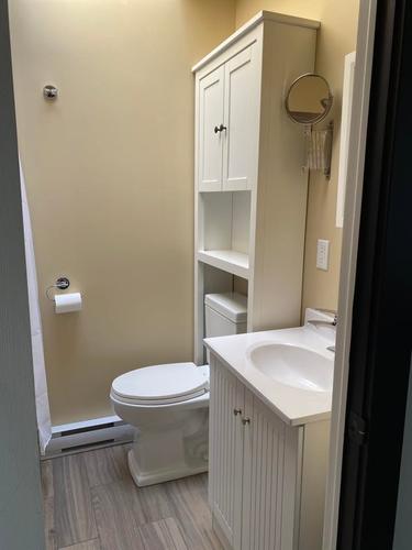 1 bedroom apartment for rent in Montreal - Rosemont–La Petite-Patrie — photo 11