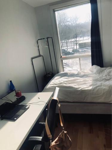 4 bedrooms apartment for rent in Montreal - Le Plateau-Mont-Royal — photo 3