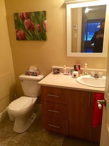 Appartement de 2 chambres à louer à Gatineau — photo 5