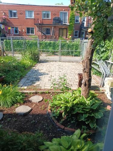 Appartement de 2 chambres à louer à Montreal - Rosemont–La Petite-Patrie — photo 2