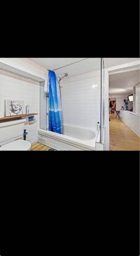 Appartement de 2 chambres à louer à Montreal - Rosemont–La Petite-Patrie — photo 9